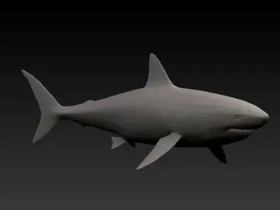 base shark Low-poly 3D model