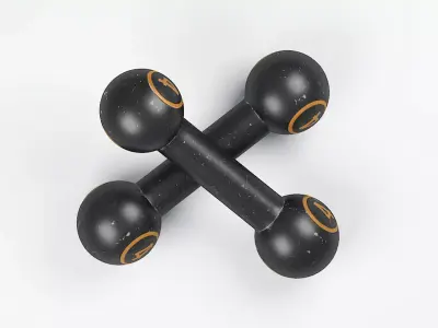 Gym Dumbbell 4 3D model