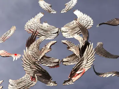 Angel Dragon wings Collection Low-poly 3D model