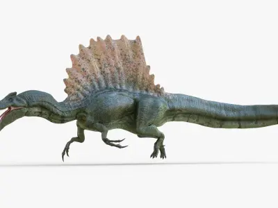 Realistic Spinosaurus Rigged and Animated Low-poly 3D model