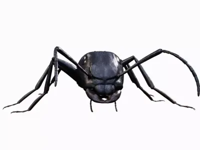 Ant walking game ready model Low-poly 3D model