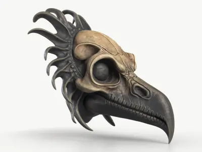 Crow Skull Mask 3D model