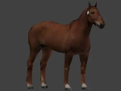 Horse Low poly Low-poly 3D model purchase