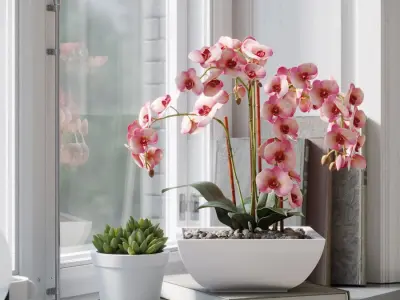  Orchid Plant Model, Red 