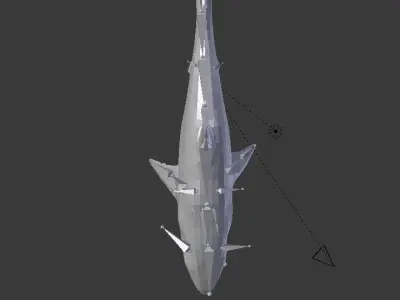 shark 3D model 2