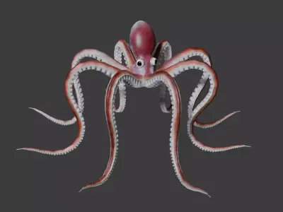 Octopus Low-poly 3D model order