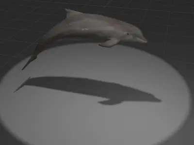 Dolphin with light shining Low-poly 3D model