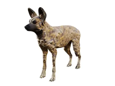 African wild dog Low-poly 3D model purchase