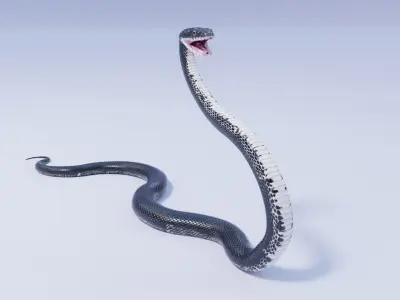 Rigged Black Rat Snake 3D model