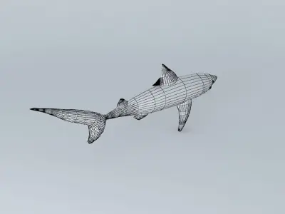 Shark shark Free 3D model