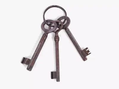 Set of Keys - 3 Rusty Skeleton Keys on Keychain Ring 3D model