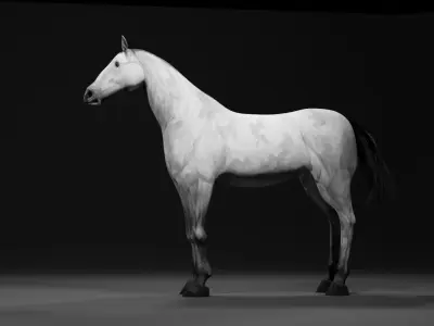 Horse 3D model order