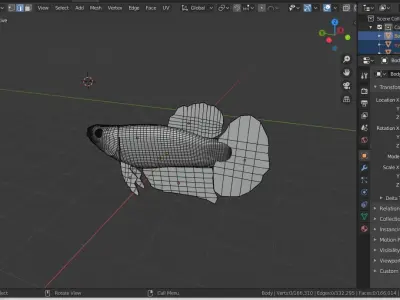 Betta Fish 3D model buy