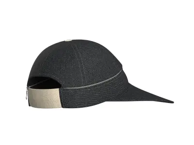 Face Saver Hat 3D model