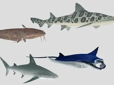  Fish Collection 06 Low-poly 3D model