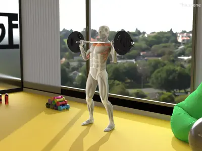 Male Muscular System Shoulder Press 3D model purchase