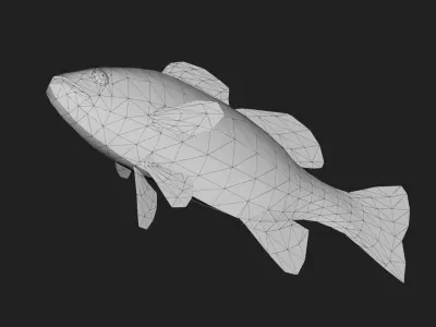 Bass fish Low-poly 3D model order