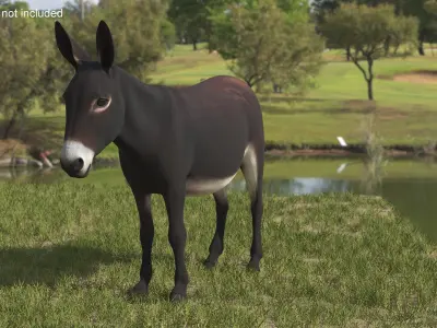  Working Donkey Standing Dark Brown 