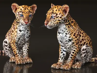 Leopard Cub Sitting Pose 3D model