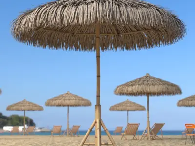 Straw Beach Umbrella with Bamboo Support 3D model
