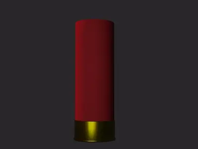 Shotgun Shells 3D model
