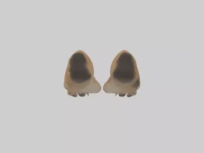 Dog Paws Low-poly 3D model