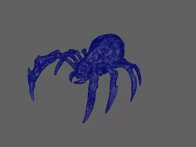 Spider 3D model 25