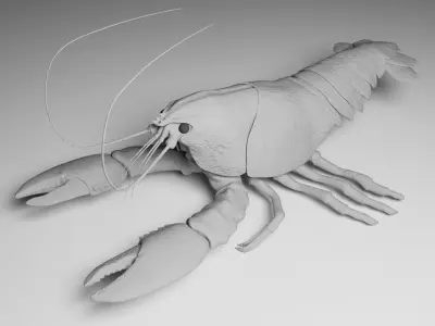 Lobster 3D model purchase