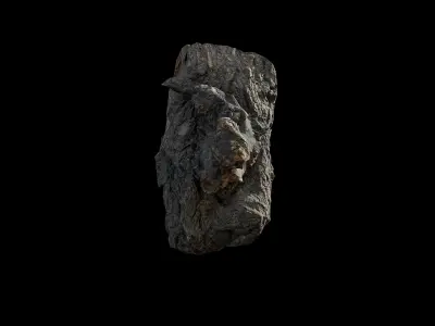 Anydrafts Salix matsudana Burl 01 Low-poly 3D model