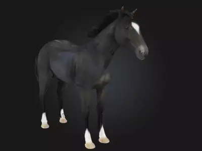 Midnight Elegance  Radiant Sophistication in the Depth of Night 3D model