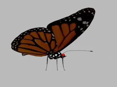 BUTTERFLY monarch 3D model