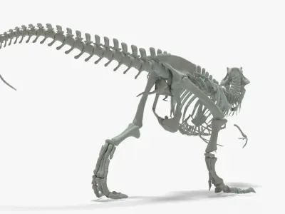 Tyrannosaurus Rex Rigged Skeleton Low-poly 3D model