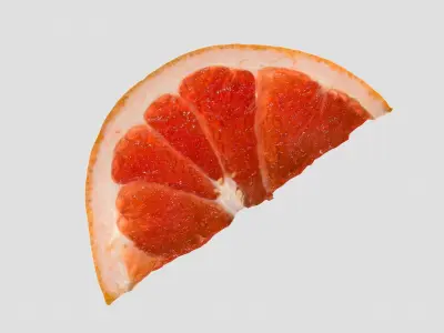 Slice of a Grapefruit 3D model