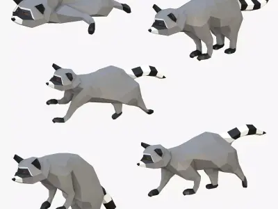 Raccoon Low-poly 3D model