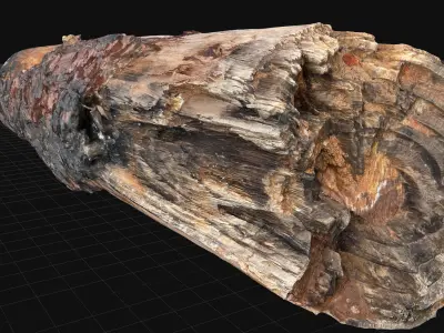 Real World Tree trunk wood 3d scan in highpoly 3D model