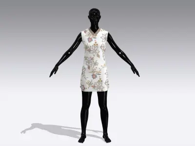Woman Cloth Dress Low-poly 3D model