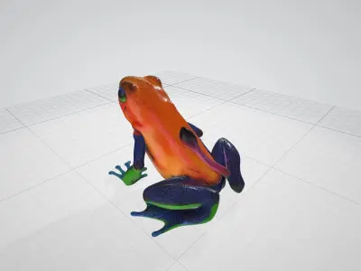 Venomus Frog -- Oophaga Pumilio 3D model