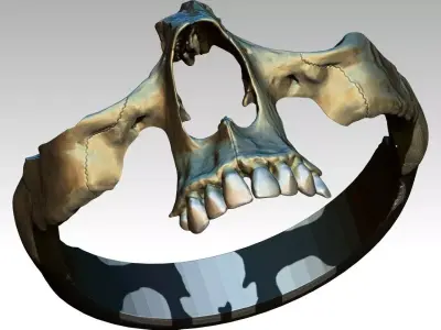 Part  Skull Ring Men Woman Gothic  3D print model