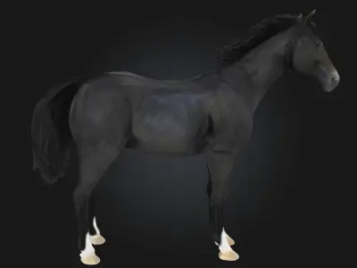 Midnight Elegance  Radiant Sophistication in the Depth of Night 3D model
