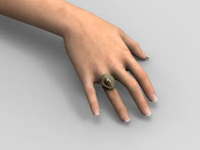 R 105 Ring Dome 3D print model