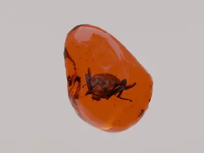 Insects in amber asset collection 3D model