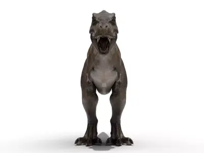 Tyrannosaurus Rex Low-poly 3D model 9