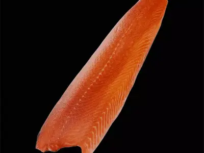 Fish 2 3D model