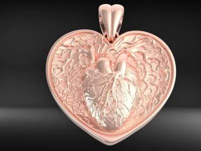Human Heart pendant with bail  3D print model