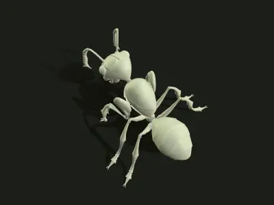 Ant 3dModel insect Low-poly 3D model