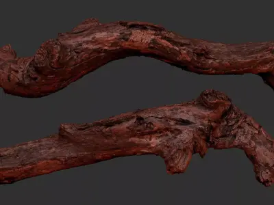 Withered Tree trunk wood 3d scan highpoly 3D model