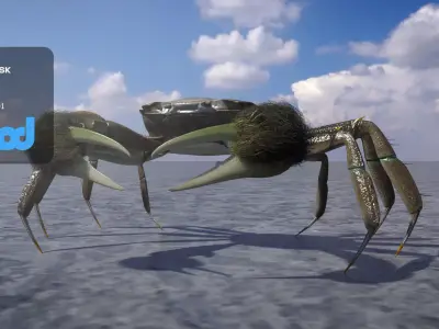 Crab Female Rigged 3D model