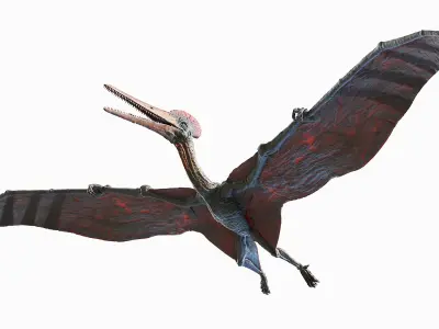 Pterodactyl Animated 3D model