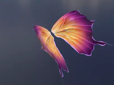  Batterfly  Wings 3D Model High Quality  Wing for Animation   Low-poly 3D model
