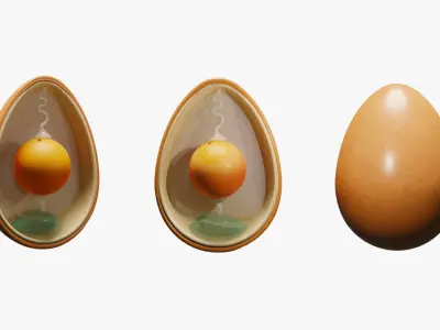 Anatomy Of Bird Egg Low-poly 3D model